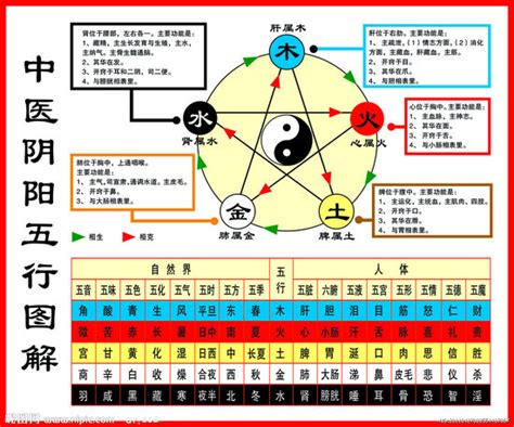 五行 意思|五行是什么意思